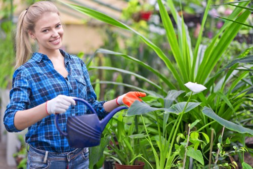 Gardeners Thamesmead transparent pricing for garden services