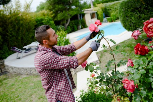 Garden maintenance in Thamesmead with tidy lawn and trimmed borders