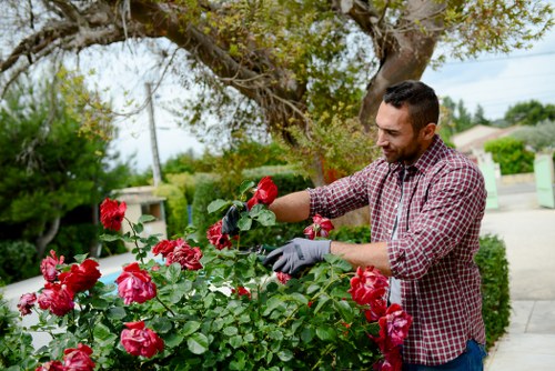 Final secure Gardeners Thamesmead payment section with trusted checkout methods