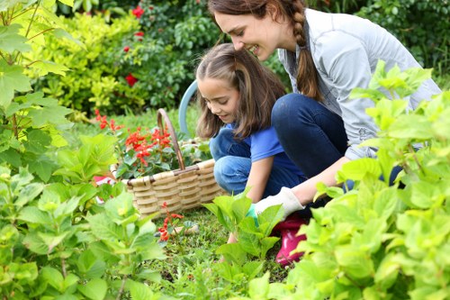 Outdoor gardening work in progress with tools and cleared green waste