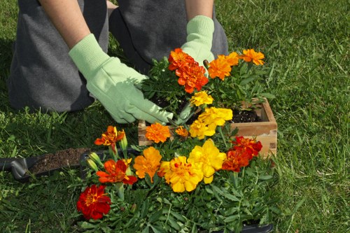Gardeners Thamesmead modern slavery statement introduction
