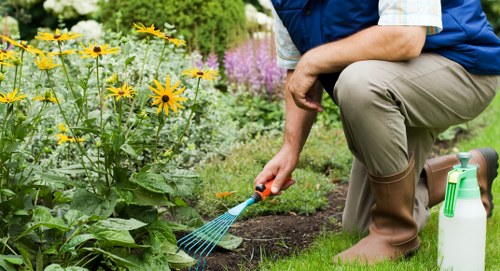 Garden maintenance in Thamesmead with neat paths, borders, and greenery