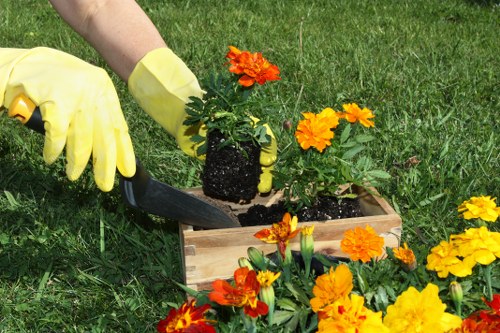 Risk assessment in progress for a Thamesmead garden service