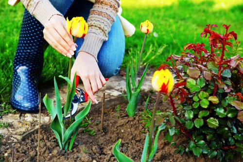 Transparent garden service rates in Thamesmead