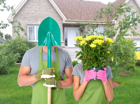 Seasonal hedge cutting in Thamesmead to improve garden appearance