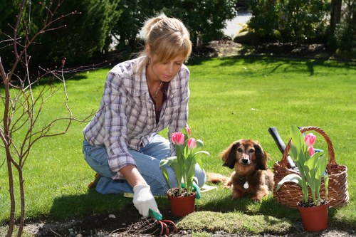 Supplier compliance checks for Thamesmead gardeners