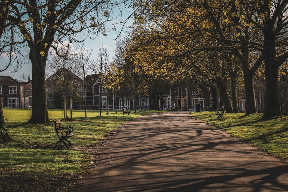 A peaceful pathway within a landscaped park area featuring a wide gravel walkway shaded by large trees with yellow and green leaves, casting intricate shadows on the ground. On either side of the path