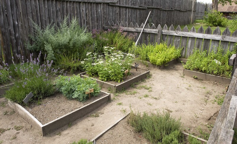garden maintenance garden design